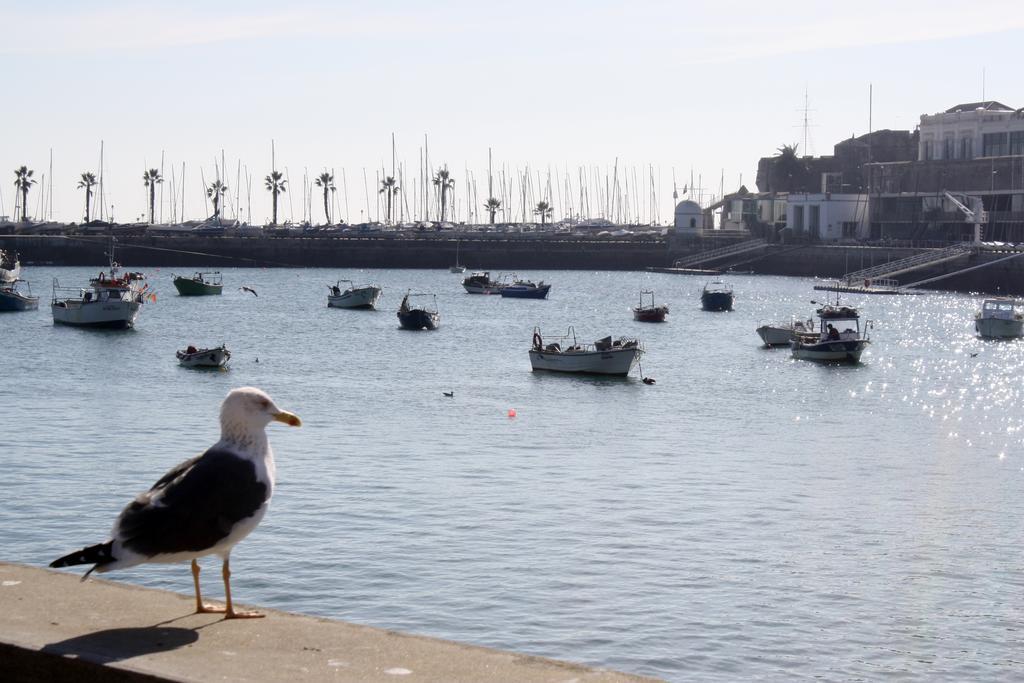 Charming Cascais Apt. Habitación foto
